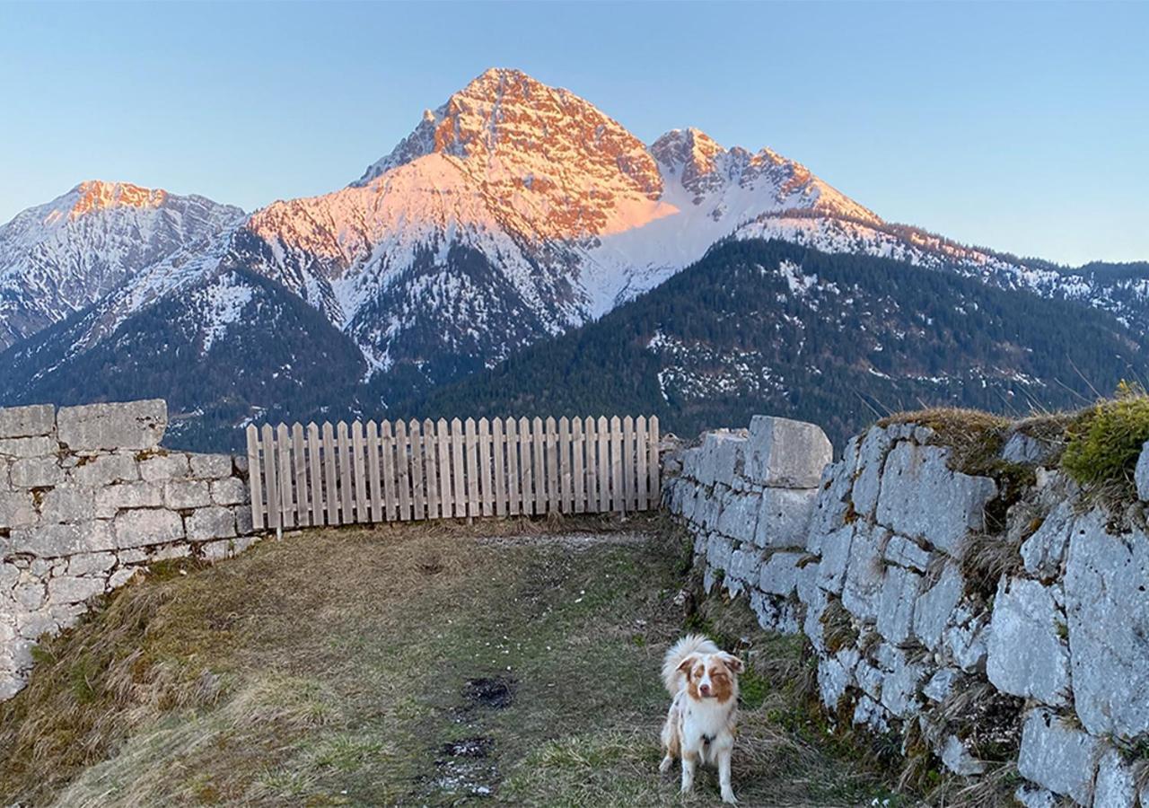 Jaegers Wohnung Zwischen Ehrenberg Und Neuschwanstein Reutte Exterior foto